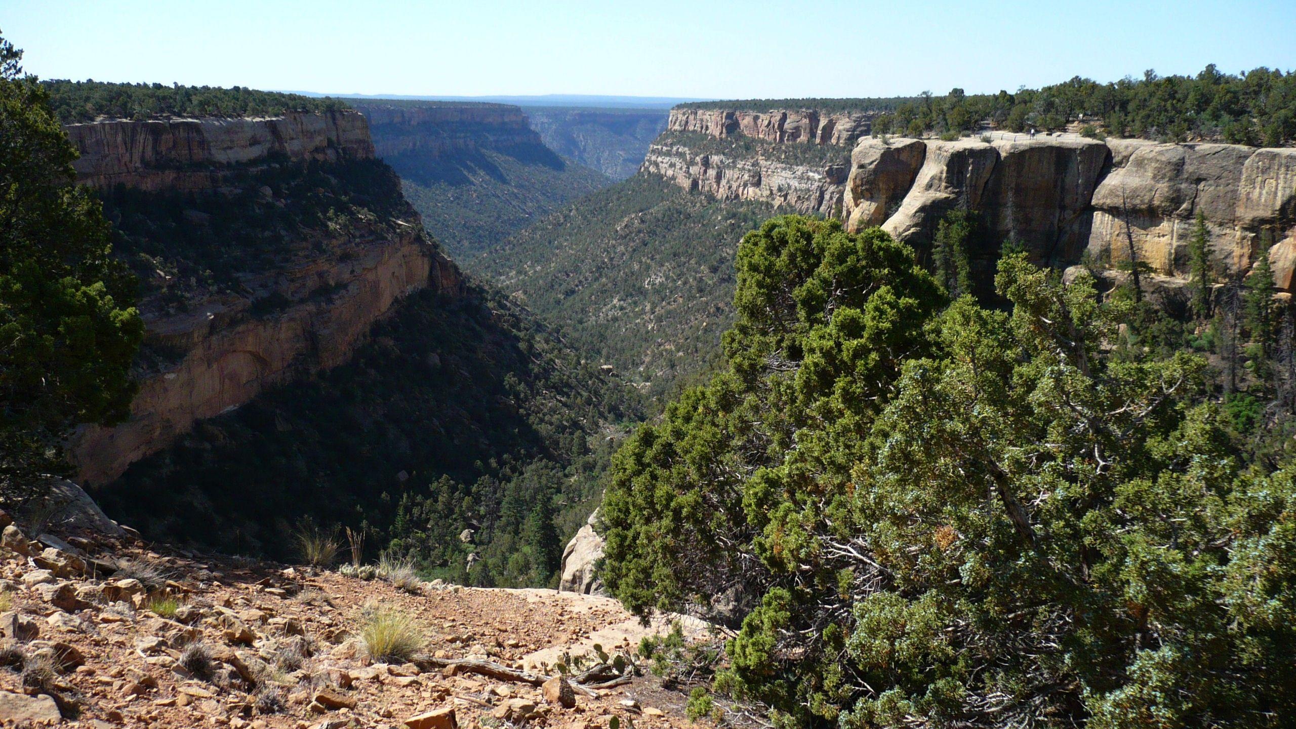 Canyon: Mesa Verde Canyon Photography USA National Park Colorado