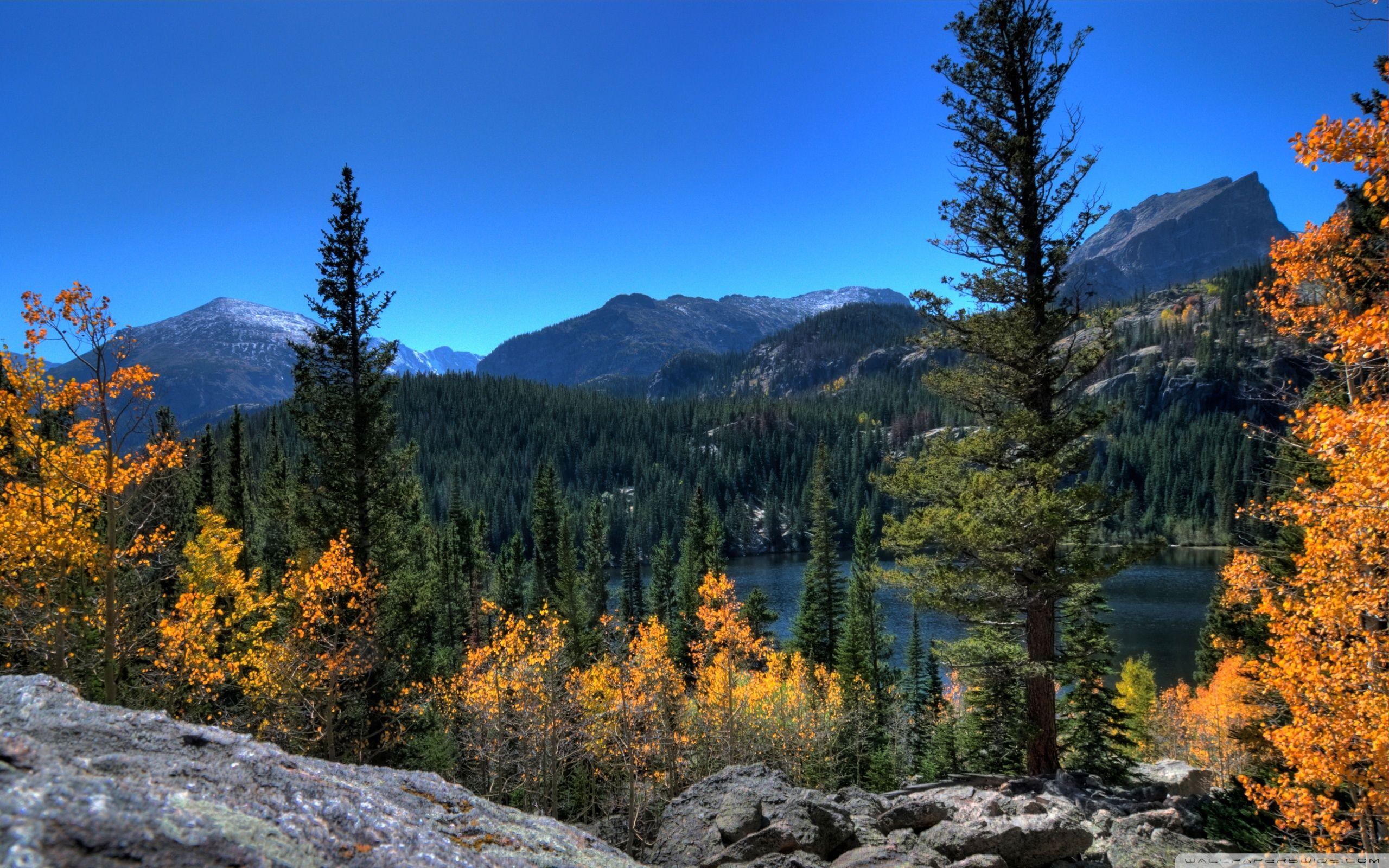 Bear Lake, Rocky Mountain National Park, Colorado ❤ 4K HD Desktop