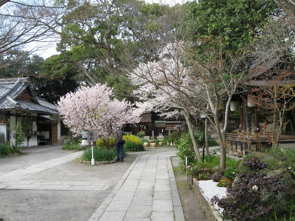 Shinjuku Gyoen National Garden in Tokyo