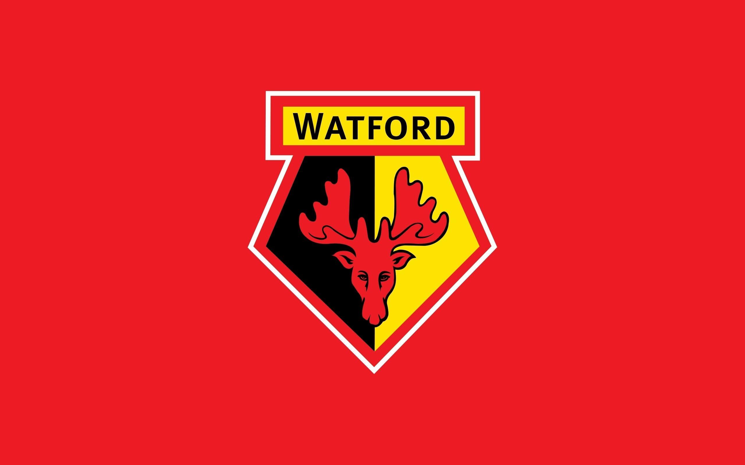 Feyenoord fans flood Watford’s official Instagram account