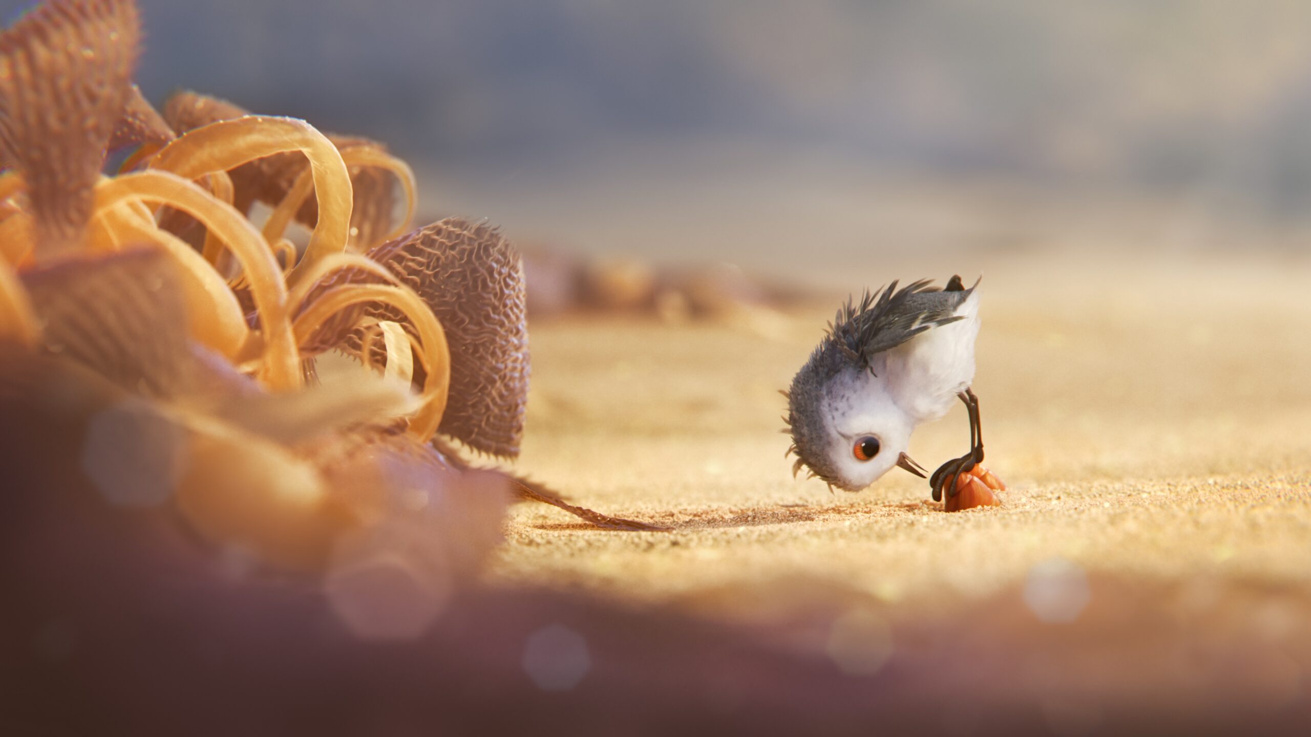 Hungry Baby Sandpiper In Piper 2016 Wallpapers