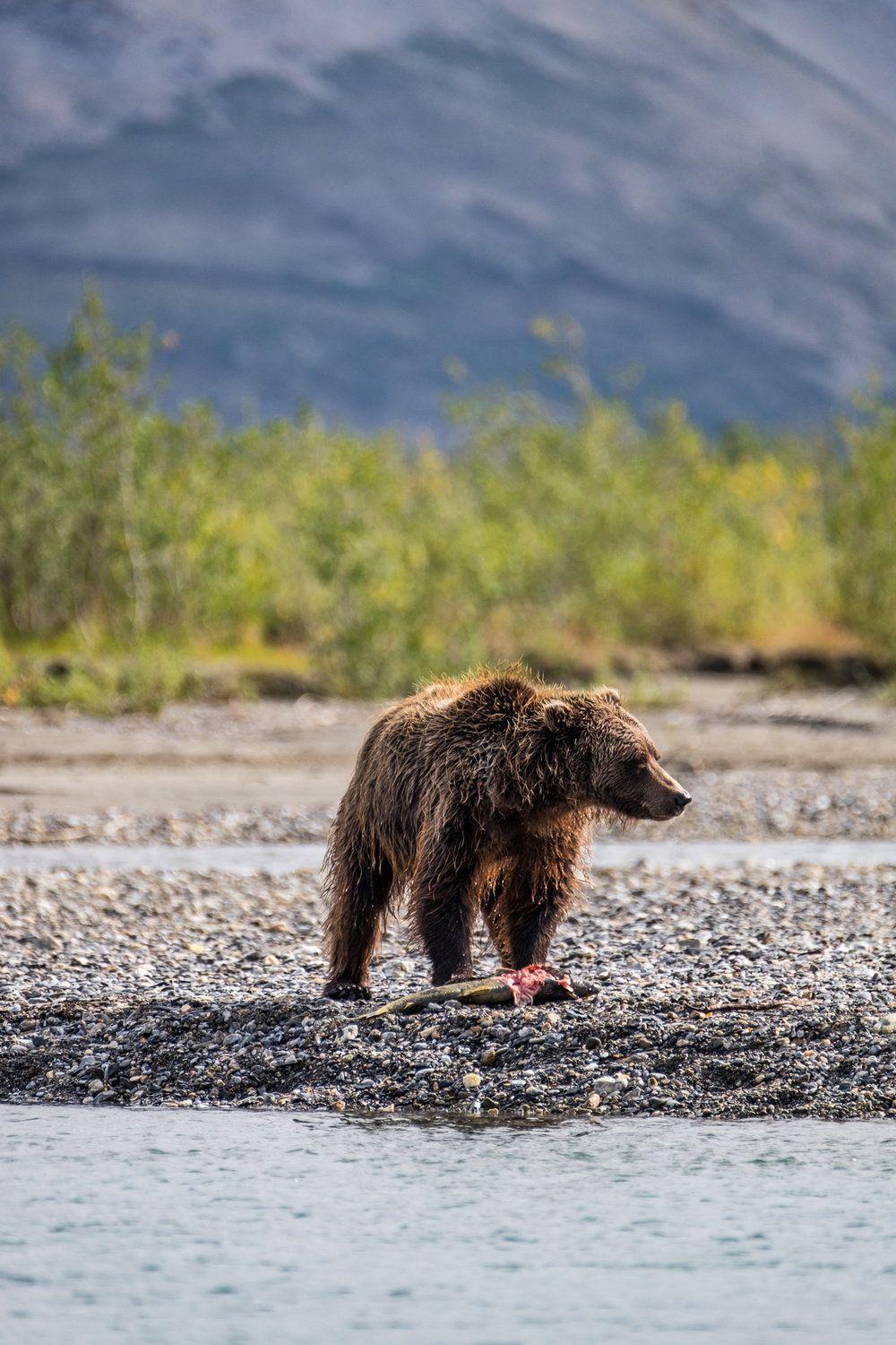 Gates of the Arctic National Park