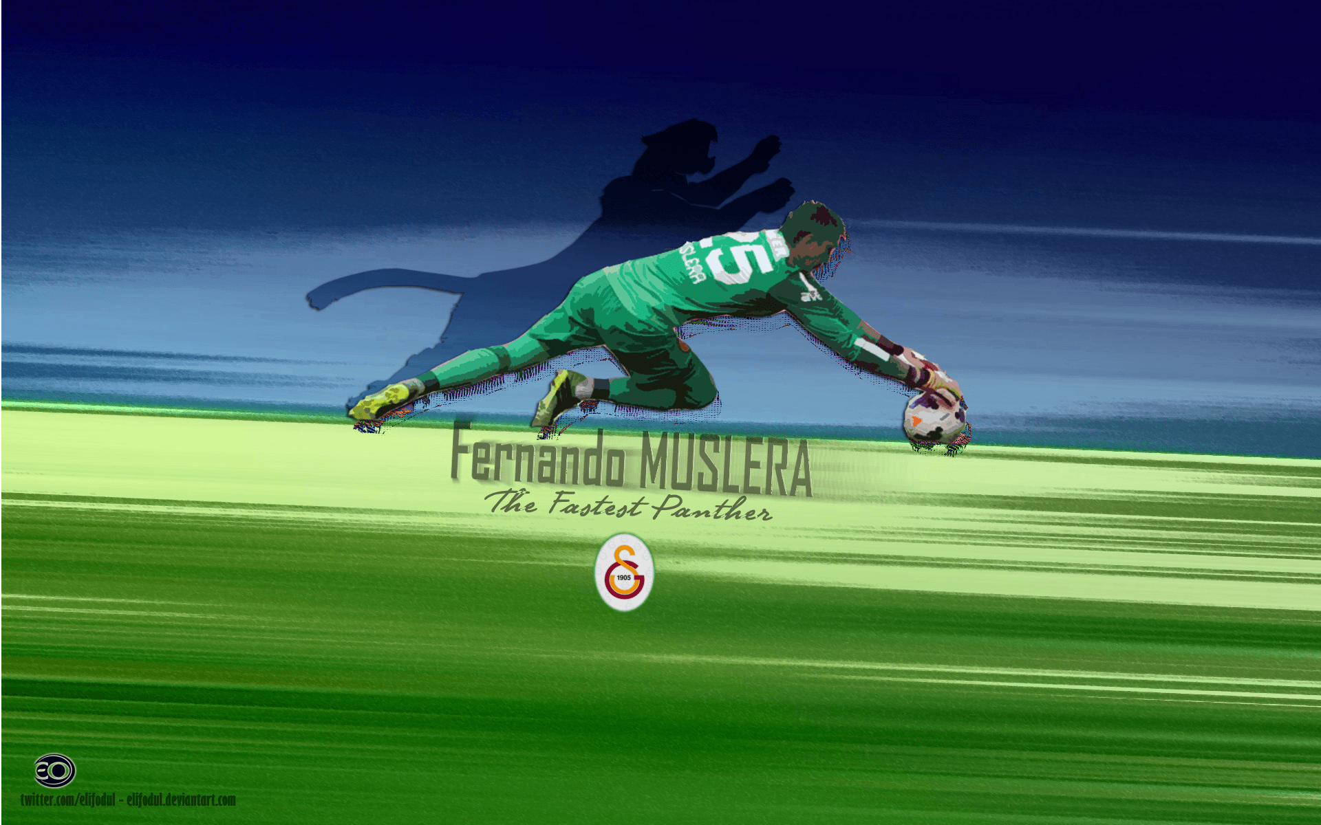 Fernando Muslera Panther Wallpapers by elifodul