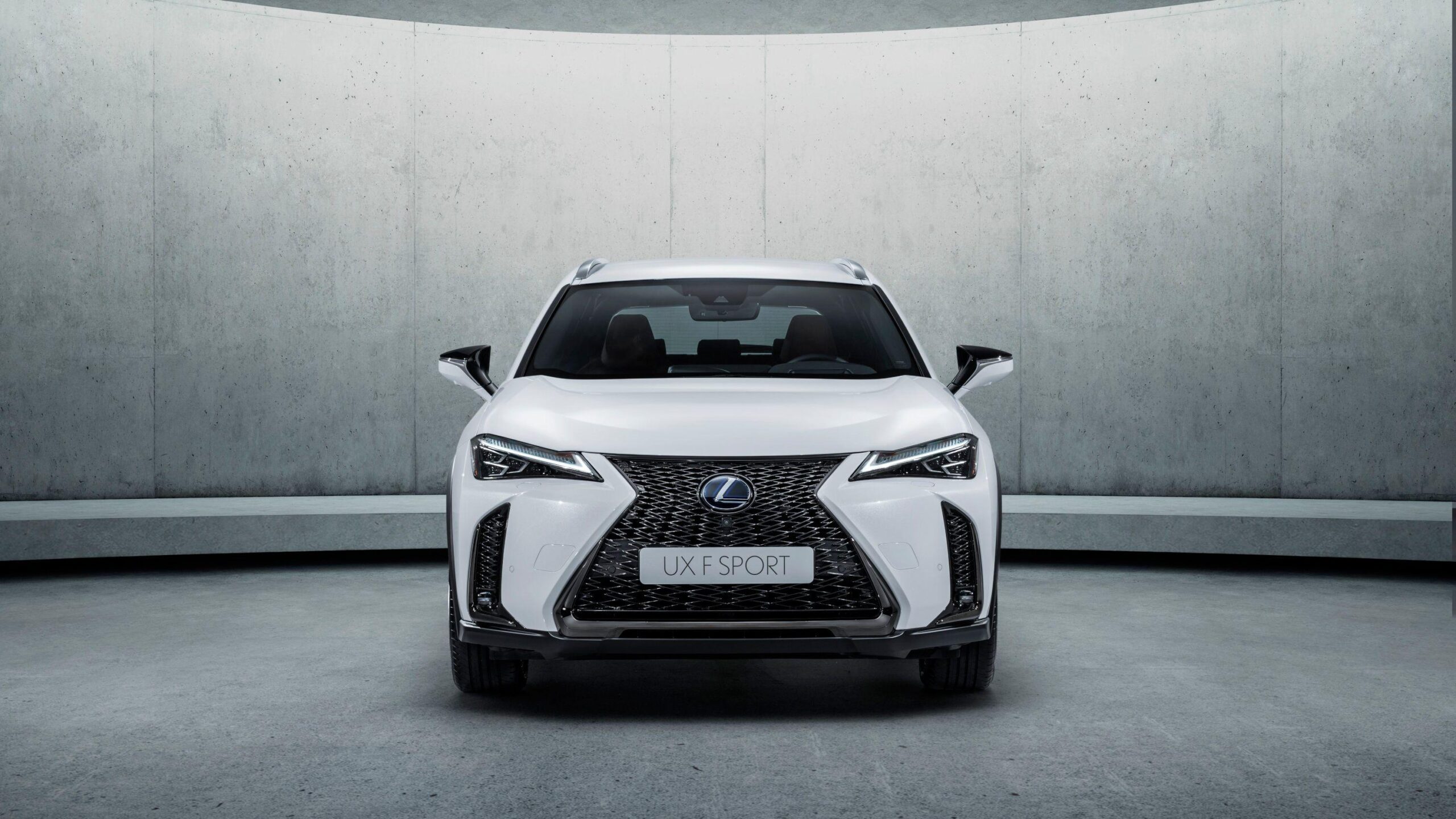 2018 Lexus UX 250h f Sport 4 Wallpapers