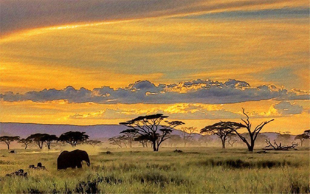 African Safari Wallpapers yvt2