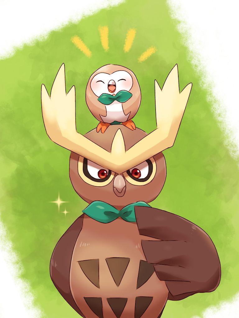 Noctowl