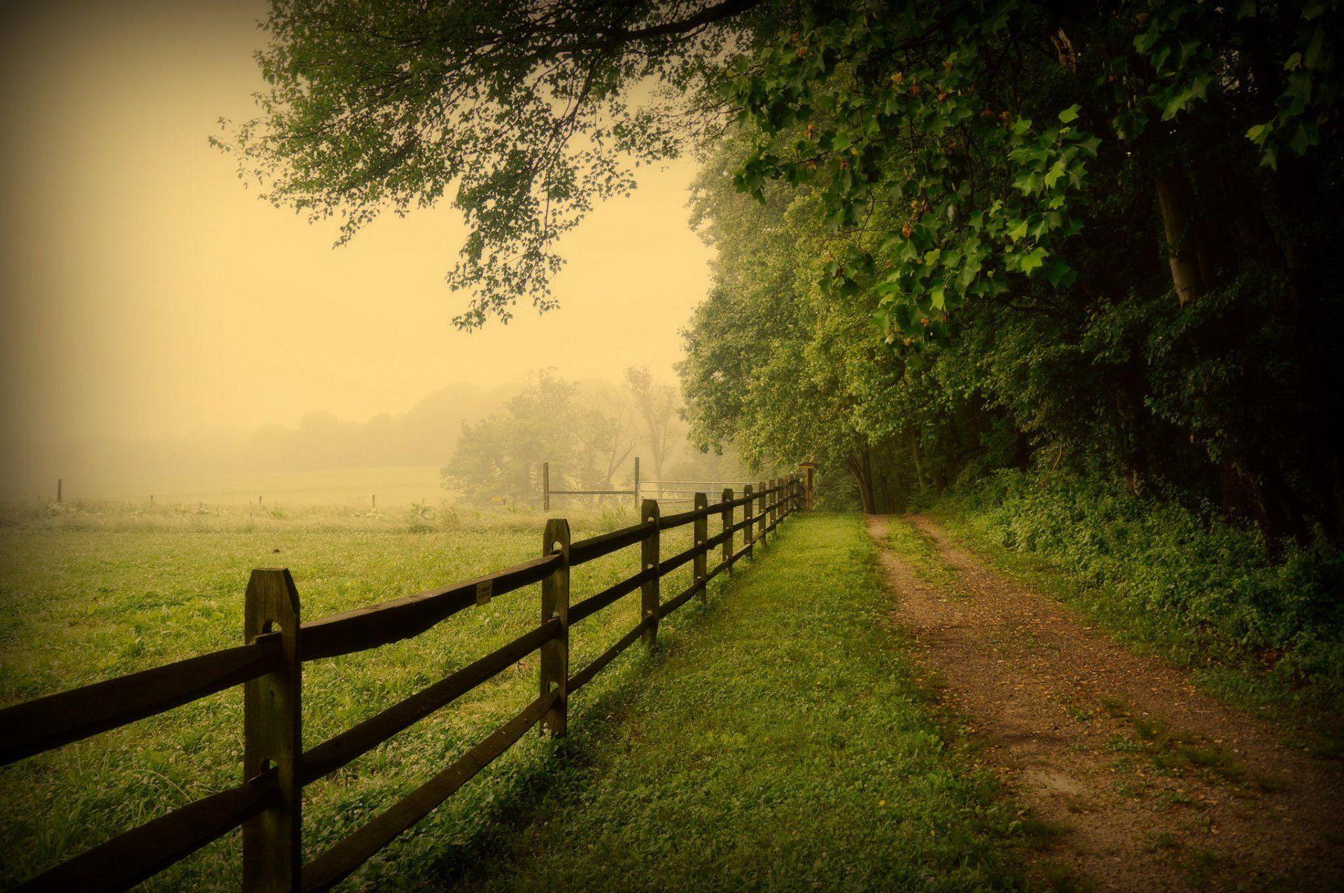 usa pennsylvania united states pennsylvania fence road fog tree