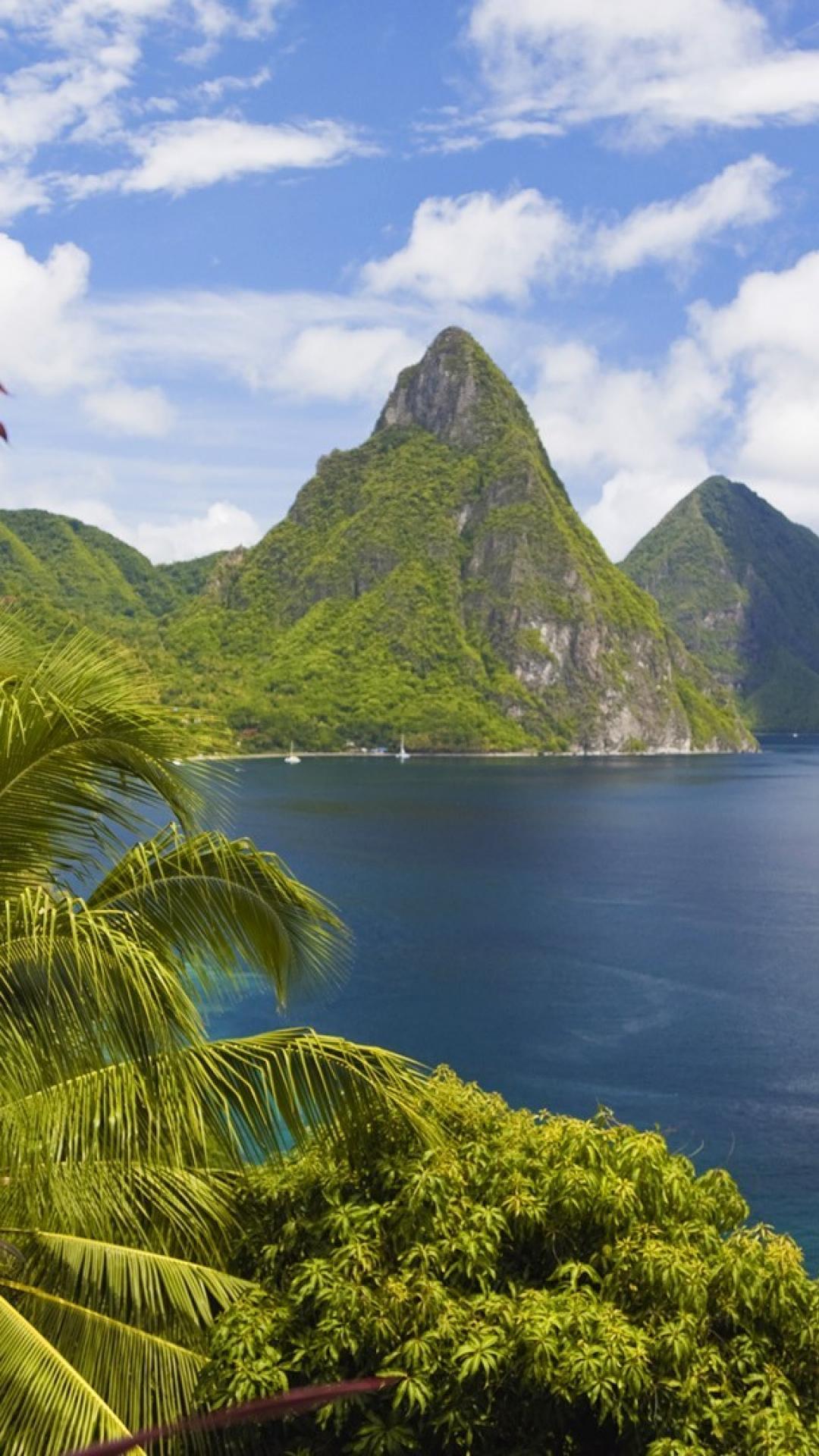 Bay palm trees saint lucia sea wallpapers