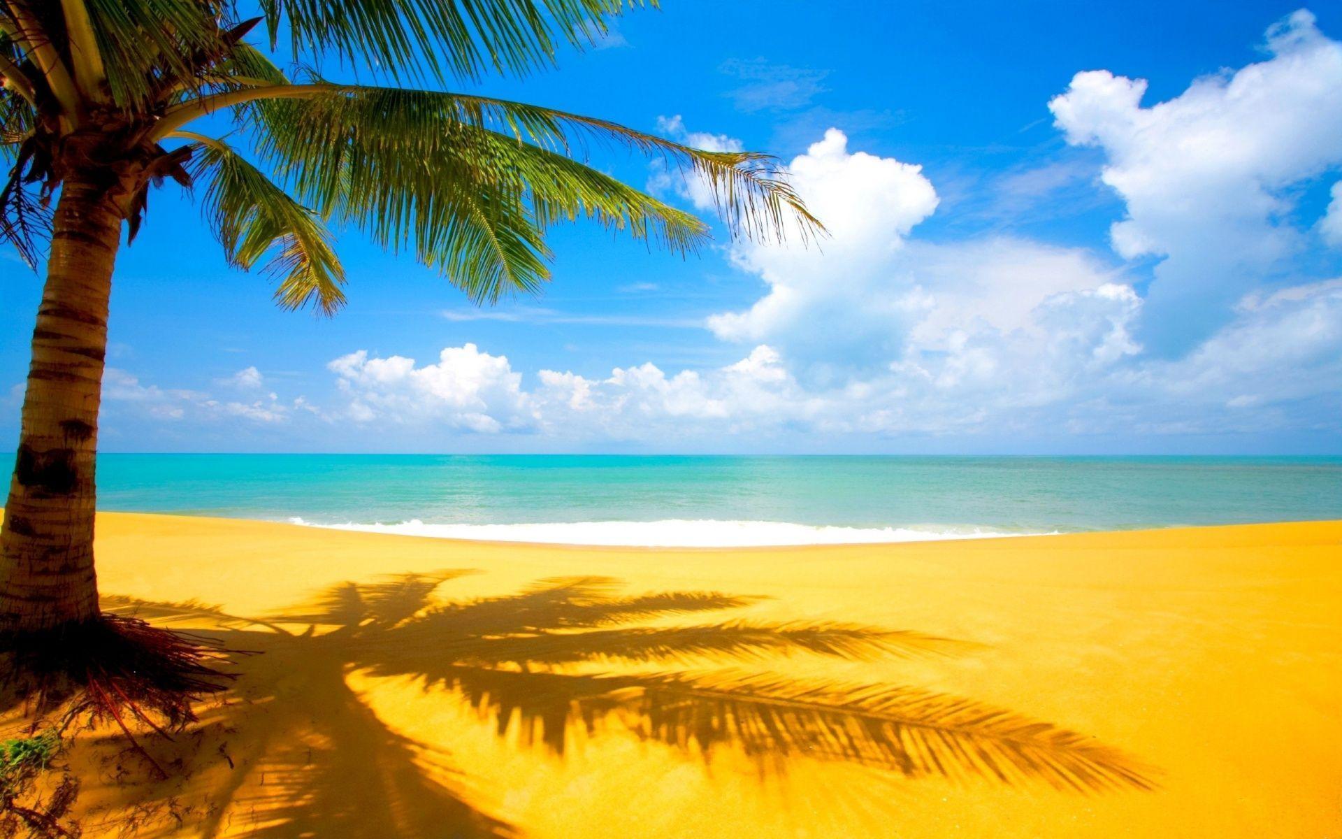 Hawaii Beach Wallpapers