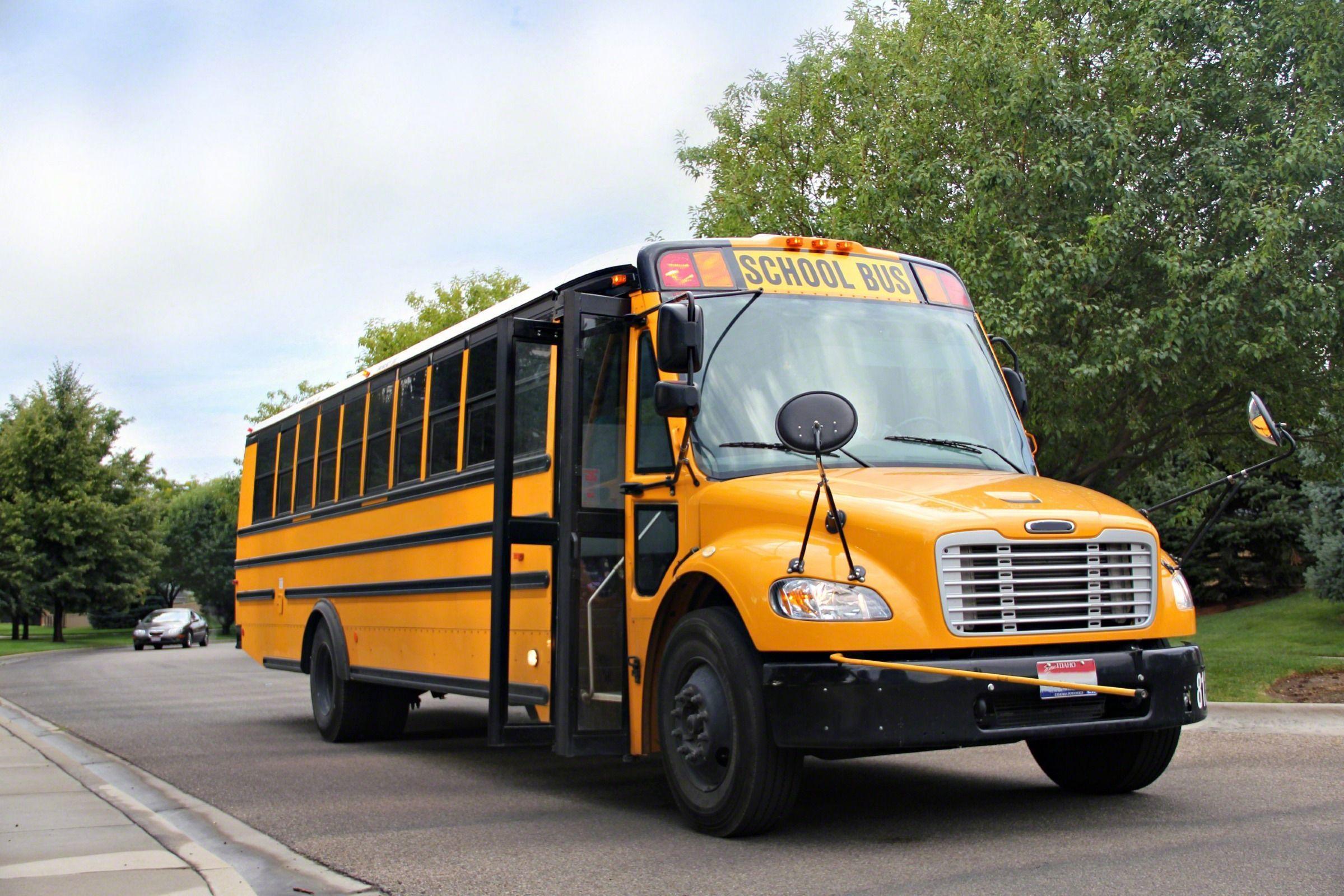 School Bus Safety